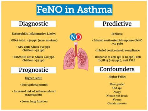 what is feno in asthma